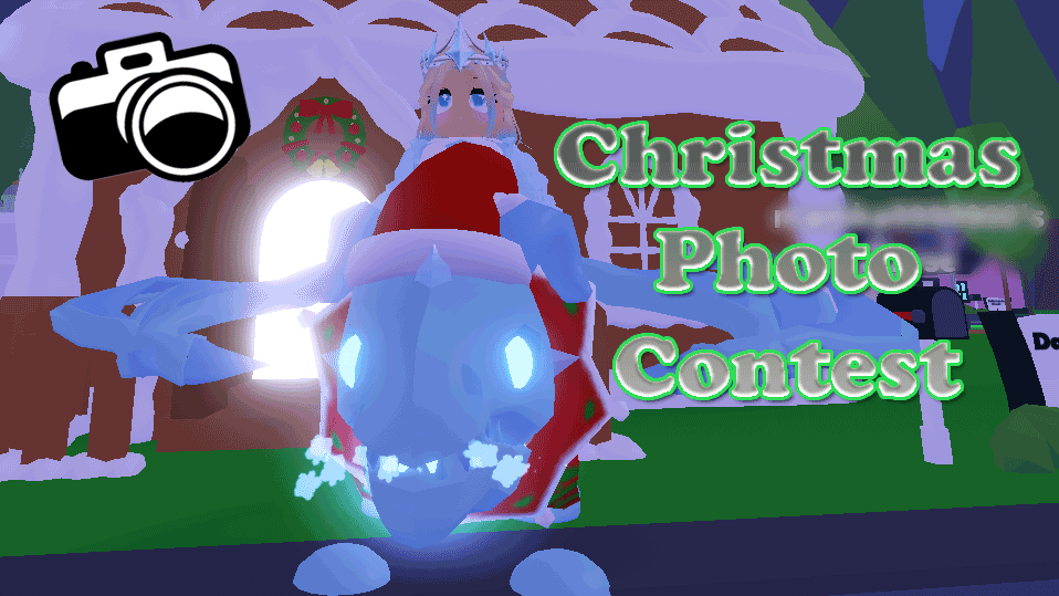 Christmas Photo Contest